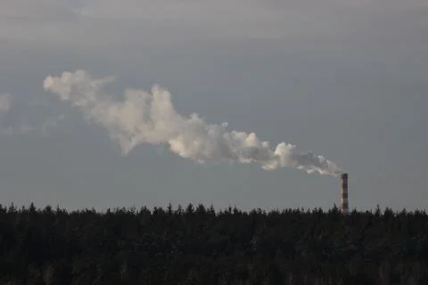 One red and white pipe with gray smoke or steam over the forest against the s Stock Photos