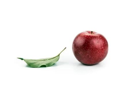 One red apple and leaf Stock Photos