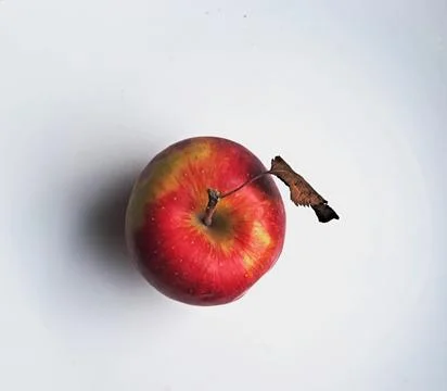 One red apple with dried leaf placed on white background. Stock Photos