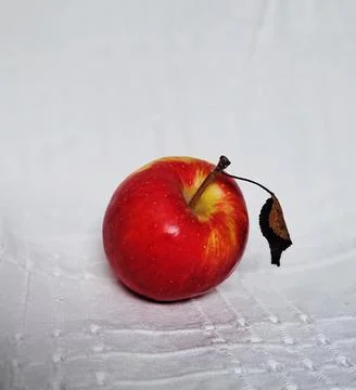 One red apple with dried leaf placed on textured white background. Stock Photos