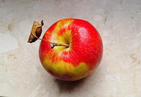 One red apple with dried leaf placed on white marble. Stock Photos