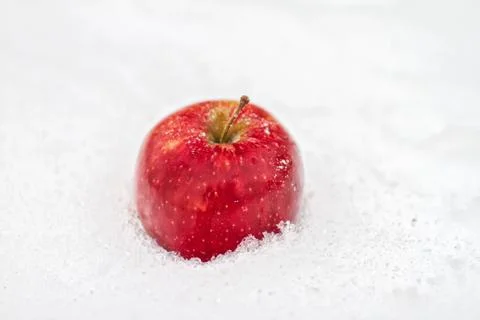 One red apple Stock Photos