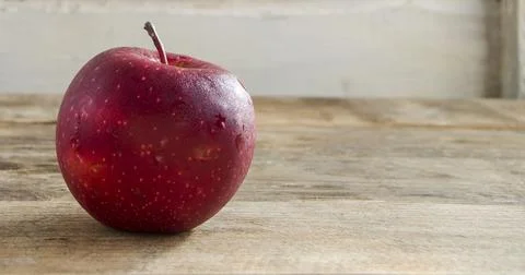 One red apple. Stock Photos