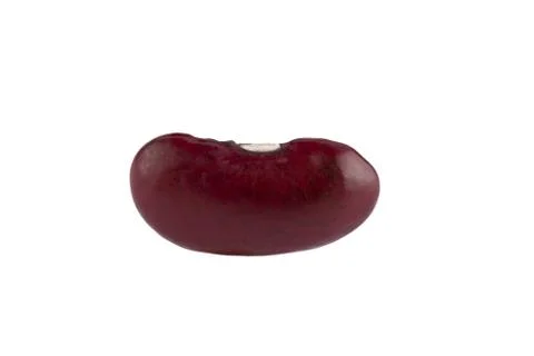 One red bean on white background Stock-Fotos