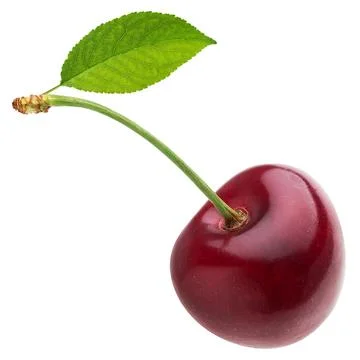 One red cherry with leaf isolated on white background with clipping path 写真素材