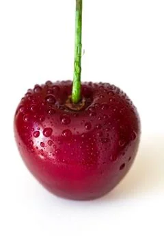 One red cherry with water drops isolated on white background close up Stock Photos
