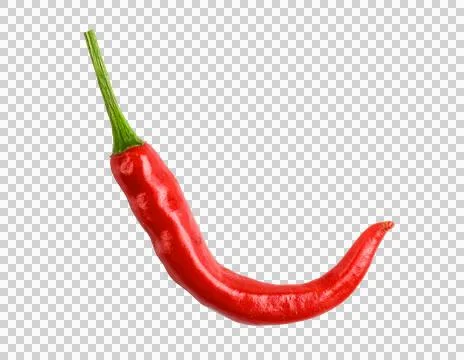 One red hot chilli pepper isolated on white, clipping path, top view, PNG Stock-Fotos