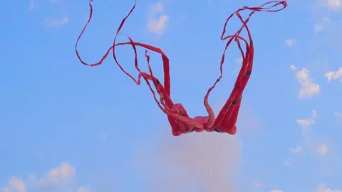 One red kite is flying in the cloudy sky during summer outdoor festival Stock Footage 340441597
