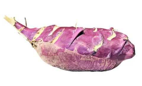 One red kohlrabi root Stock Photos