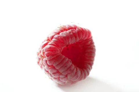 One red macro raspberry over white background Stock Photos