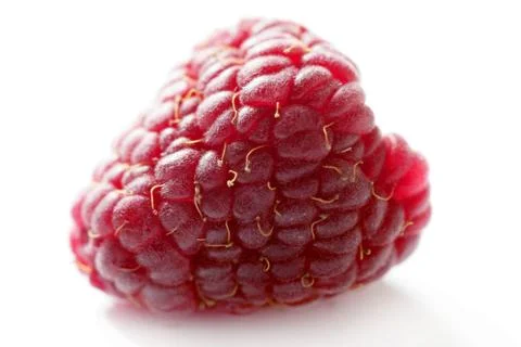 One red macro raspberry over white background Foto stock