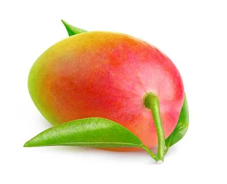 One red mango isolated on white background Foto stock