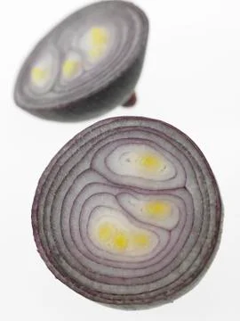 One Red Onion cut in half Stock Photos