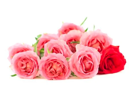 One red Stock Photos