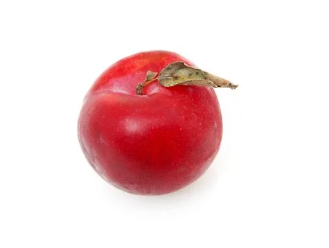 One red plum in closeup Foto stock