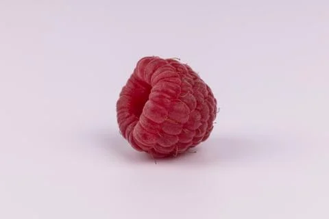 One red raspberry laying on its side on white background side view Stock Photos