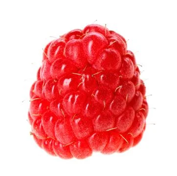 One red ripe raspberry fruit, isolated on white macro Foto stock