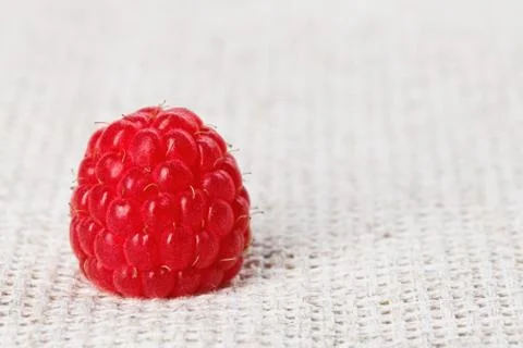 One red ripe raspberry fruit, on gray linen table cloth, macro Foto stock