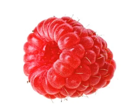 One red ripe raspberry fruit, isolated on white macro Foto stock