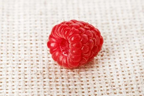 One red ripe raspberry fruit, on gray linen table cloth, macro Stock-Fotos