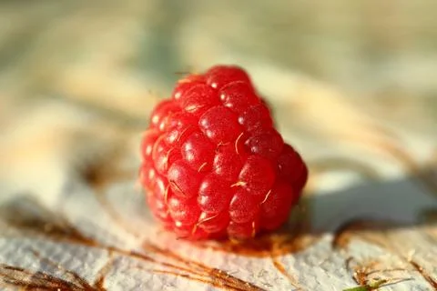 One red ripe raspberry fruit on the table Stock Photos