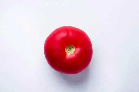 One red tomato on a white background. Stock Photos