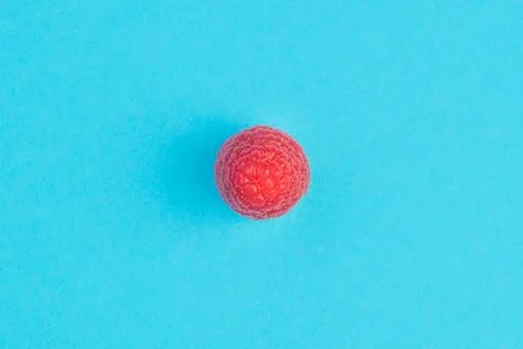 One ripe aromatic raspberry on blue background. Stock Photos