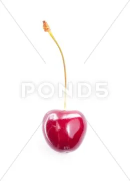 One ripe cherry. Stock Photos