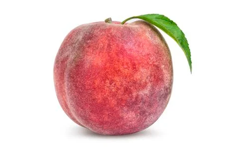 One ripe peach Stock Photos