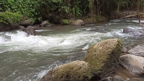 One of the rivers in Bali - Indonesia Stock Footage