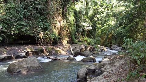 One of the rivers in Bali - Indonesia Stock Footage