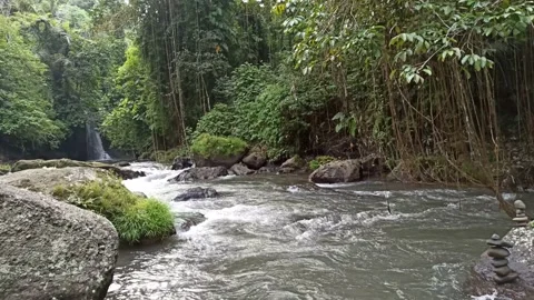 One of the rivers in Bali - Indonesia Stock Footage 154451277