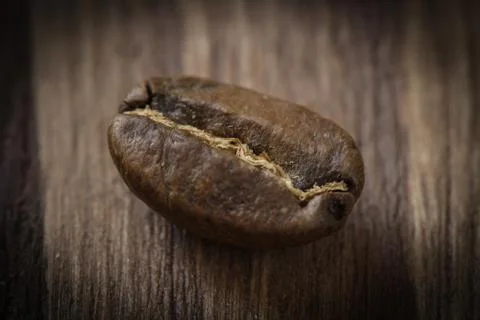 One roasted cofee bean isolated on wooden background Stock Photos