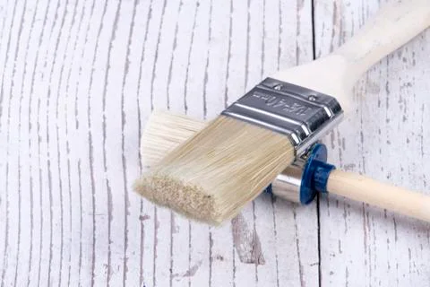 One round and one square brush for renovation work Stock Photos