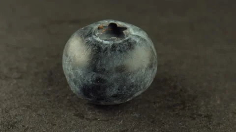 One round blueberry on a rotating table. Sweet blueberries for making raw jam Stock Footage 165025592