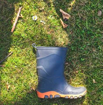 One rubber boot on grass with daisy Stock Photos