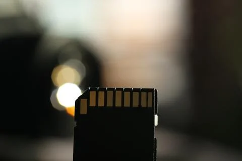 One SD memory card on blurred background, closeup Stock Photos