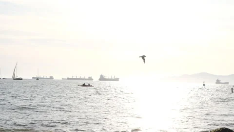 One seagul flying under high heat Summer sun Stock Footage 160638538