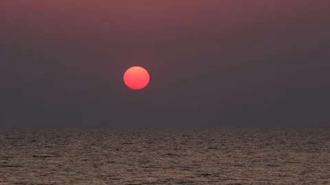 One seagull flies on background of rising sun disk Stock Footage 87794524
