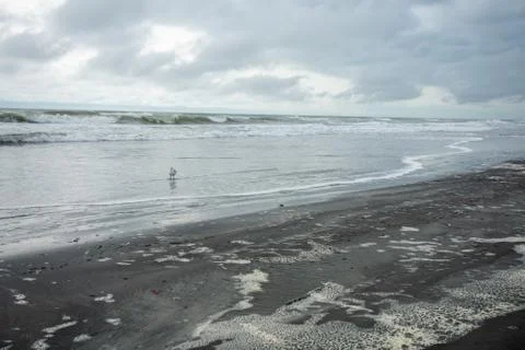 One Seagull Playing in the Ocean With a Dramatic Stormy Sky Behind It Stock Photos
