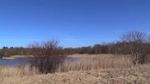 One of several historic marlpits or clay pits in Nivaa, Denmark, now a deep lake Video stock 88042235
