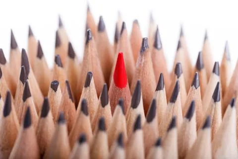 One sharpened red pencil among many ones Stock Photos