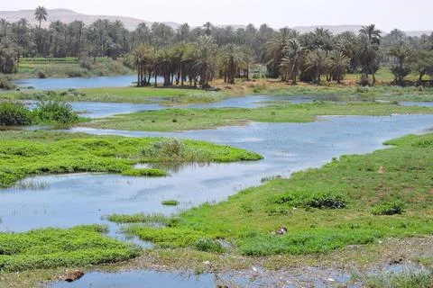 One of the side arms of the Nile Foto stock