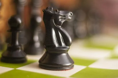One side light on Black knight chess piece. close up photo 스톡 사진