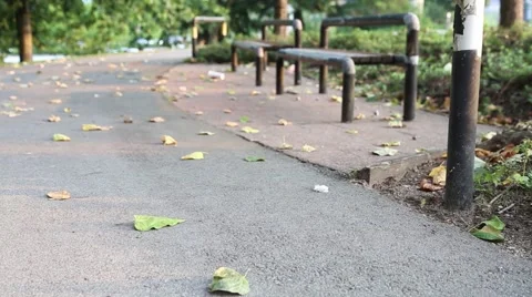One side of park Stock Footage 41873106