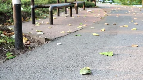 One side of park Video stock 54685414