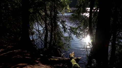 One side of trail view at Buntzen lake Stock Footage 53659553
