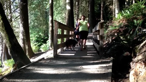 One side of trail view at Buntzen lake Stock Footage 56536332