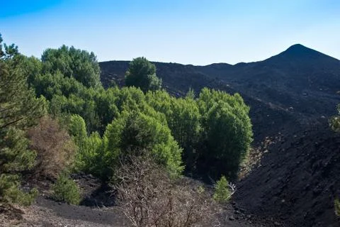 From one side of the volcano Stock Photos