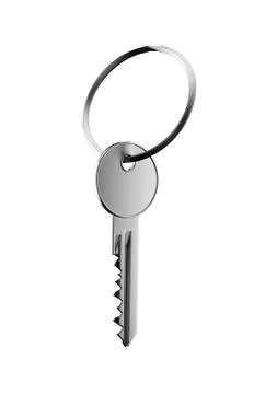 One silver key 库存插图